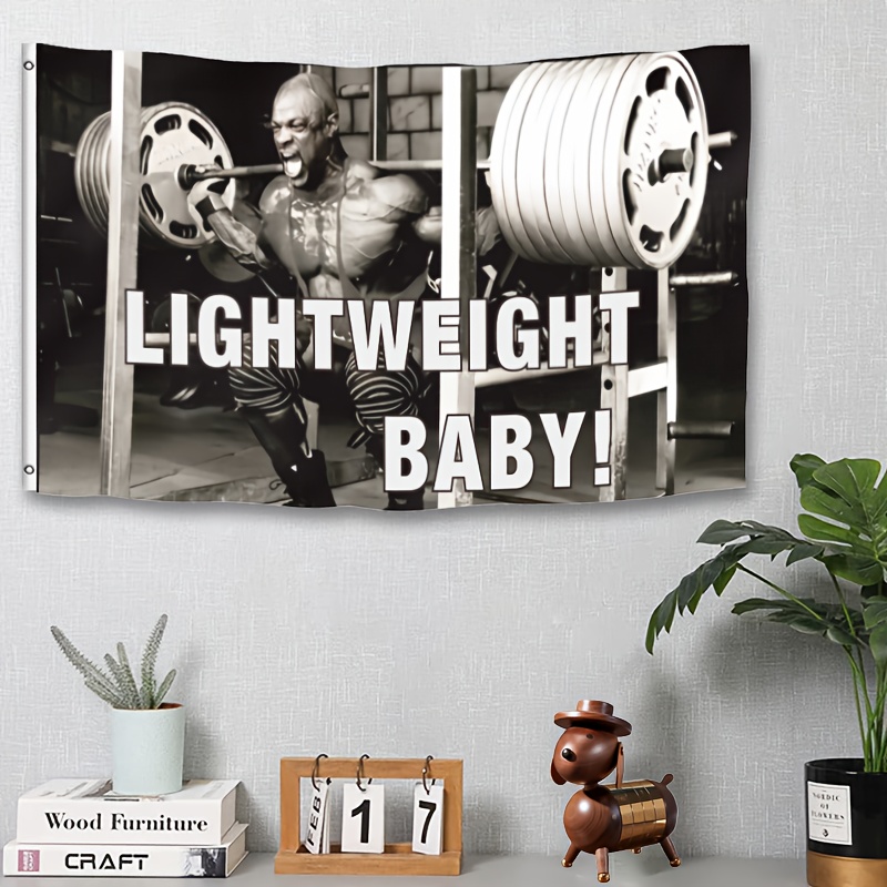1pc Lightweight Baby Ronnie Co - огляд і ціна Home Gym Vibes